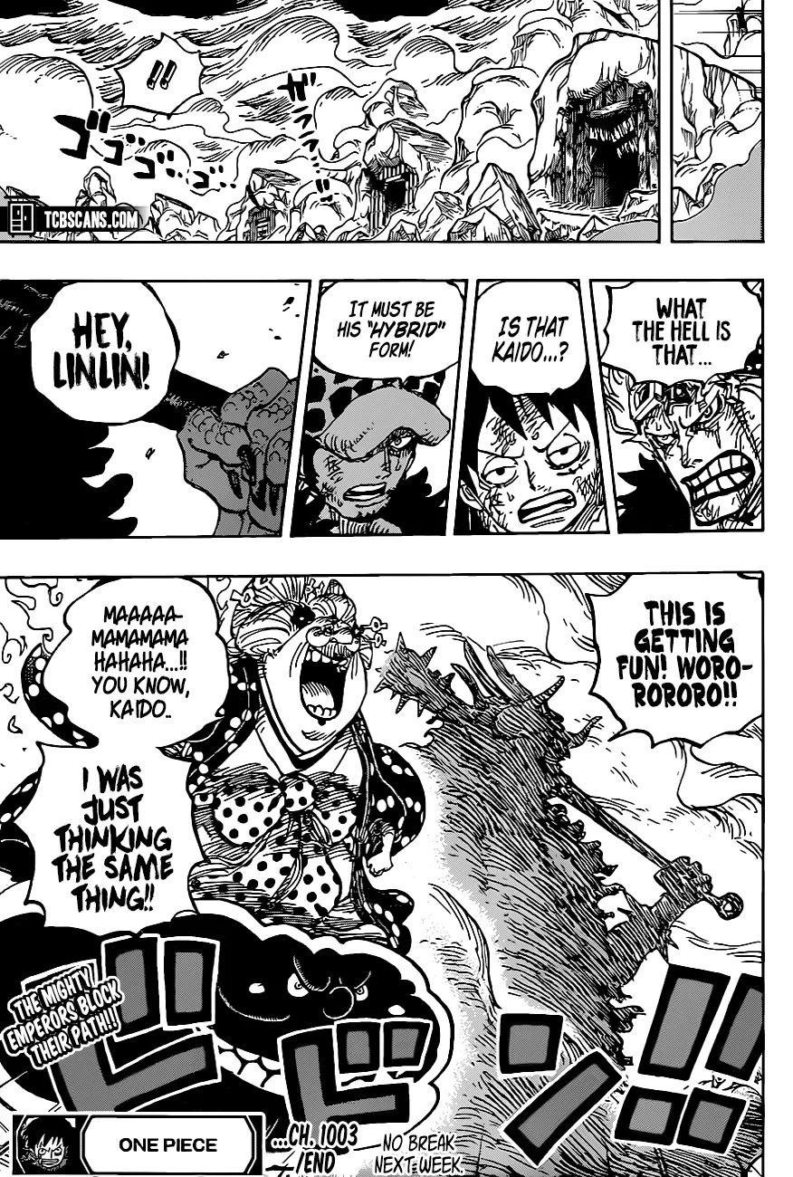 One Piece Manga Chapter 1003 page 13 - Night on the Board