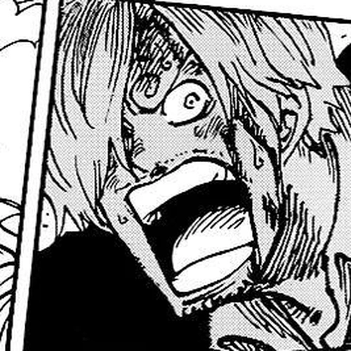 One Piece Manga Chapter 1003 (Night on the Board) cover