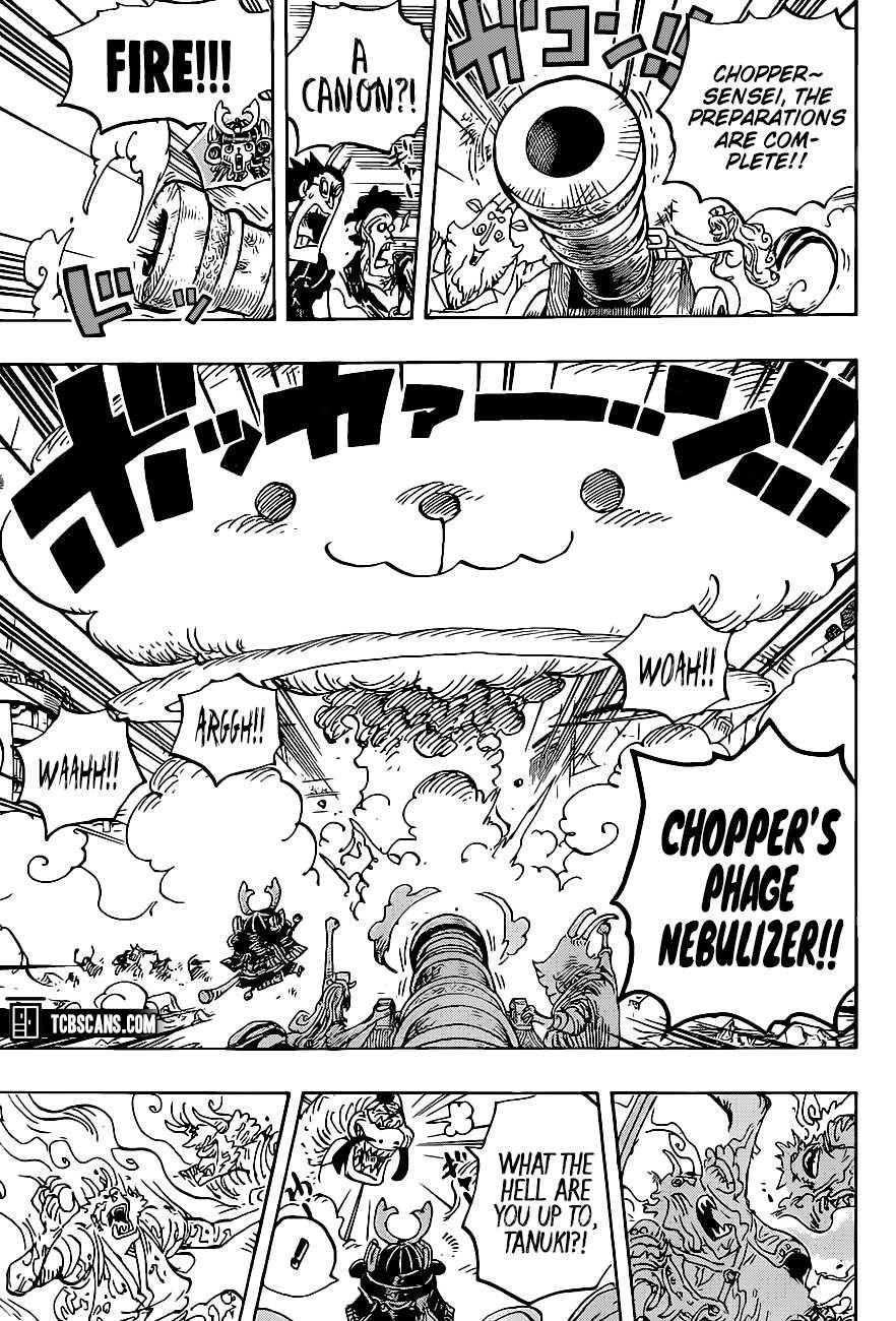 One Piece Manga Chapter 1007 page 10 - Tanuki-san
