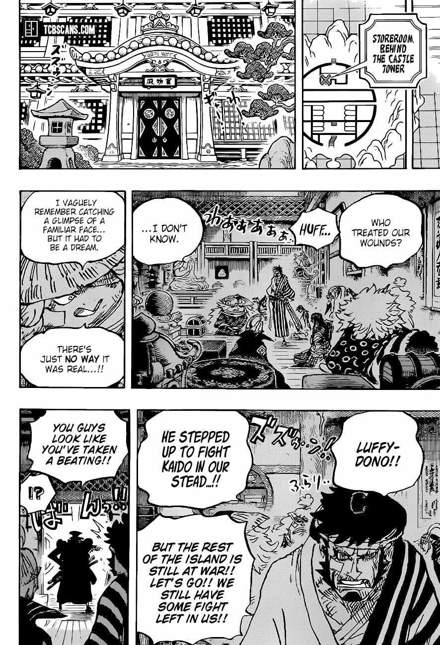 One Piece Manga Chapter 1007 page 14 - Tanuki-san