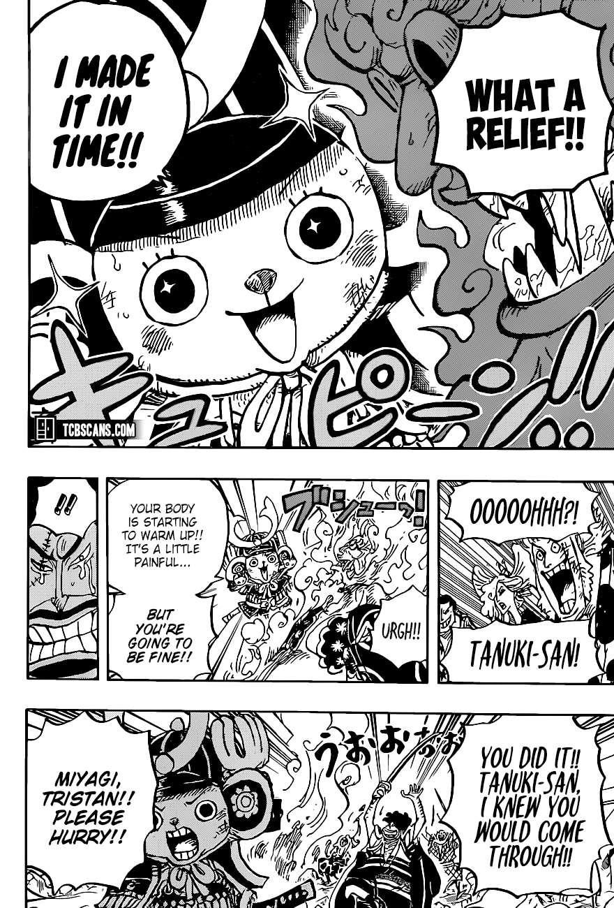 One Piece Manga Chapter 1007 page 9 - Tanuki-san