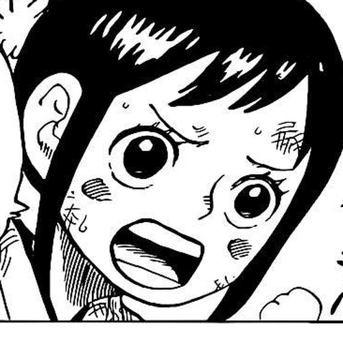 One Piece Manga Chapter 1011 (The Code of Anko) cover