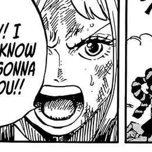 One Piece Manga Chapter 1016 (This is O-Tama!!) cover