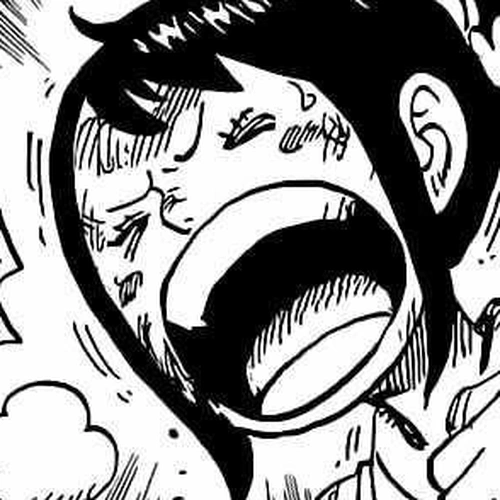 One Piece Manga Chapter 1017 (The Order) cover