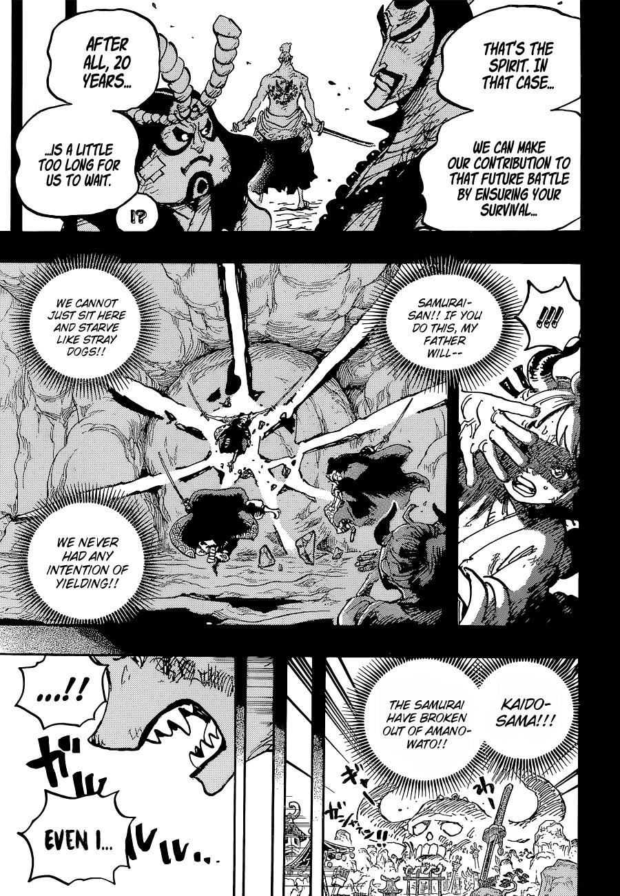 One Piece Manga Chapter 1024 page 17 - So-and-So