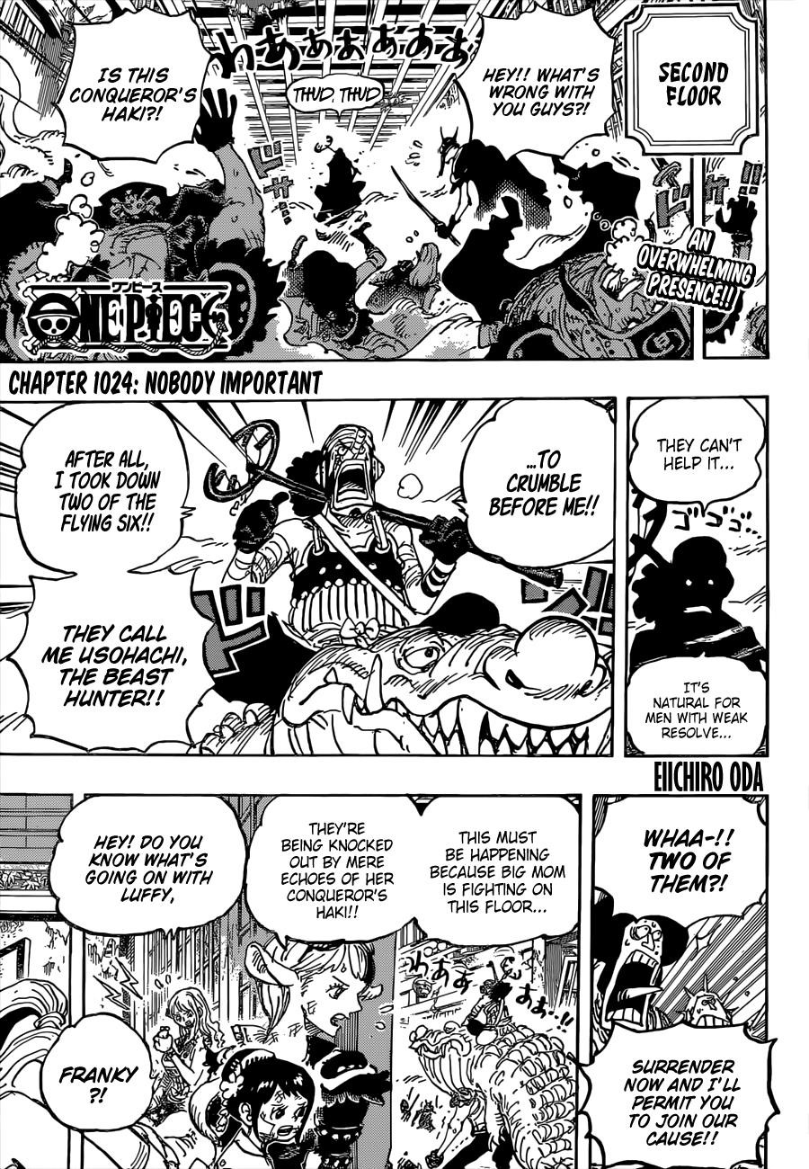 One Piece Manga Chapter 1024 page 3 - So-and-So
