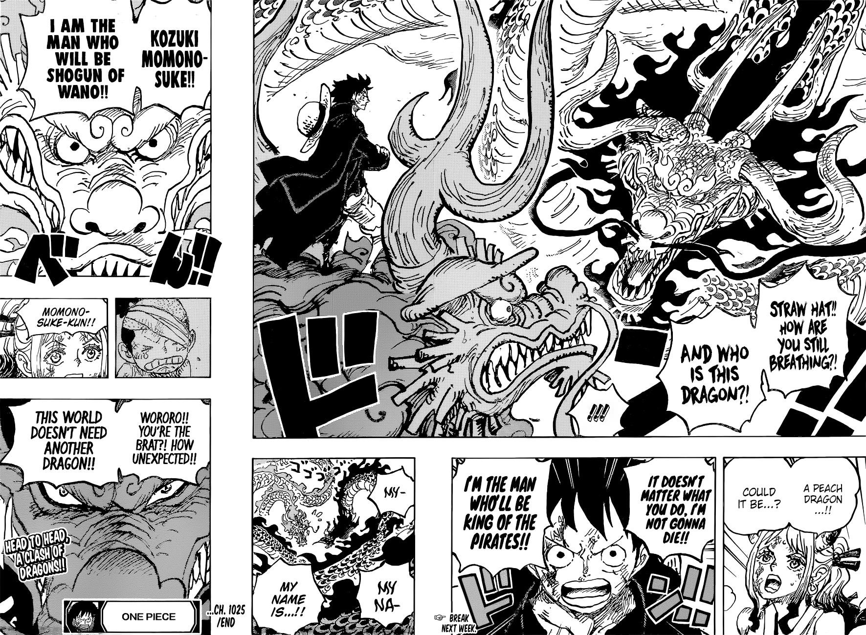 One Piece Manga Chapter 1025 page 16 - Twin Dragons Painting