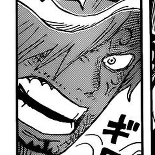 One Piece Manga Chapter 1029 (The Tower) cover