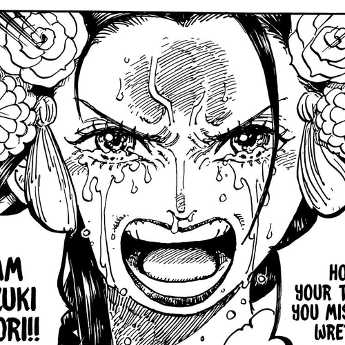 One Piece Manga Chapter 1044 (Warrior of Liberation) cover