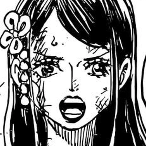 One Piece Manga Chapter 1047 (The Sky Over the Capital) cover