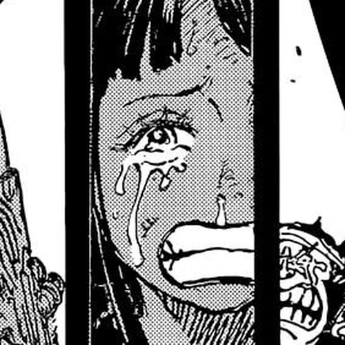 One Piece Manga Chapter 1048 (Twenty Years) cover