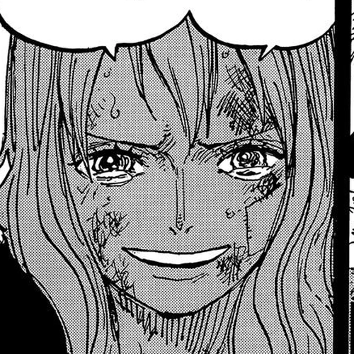 One Piece Manga Chapter 1066 (The Will of Ohara) cover