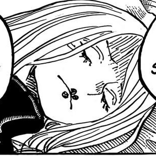 One Piece Manga Chapter 1067 (Punk Records) cover