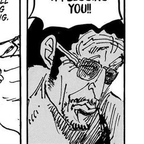 One Piece Manga Chapter 1105 (The Height Of Folly) cover