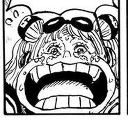 One Piece Manga Chapter 1111 (Sun-Shield) cover