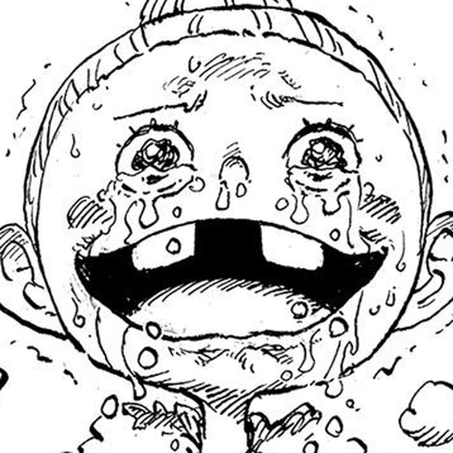 One Piece Manga Chapter 1148 (Ronja) cover