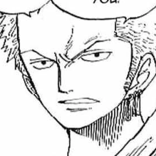 One Piece Manga Chapter 230 (Pursue the South Bird!!) cover