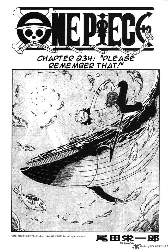 One Piece Manga Chapter 234 page 1 - Please Remember