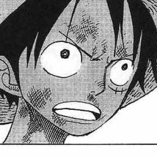 One Piece Manga Chapter 252 (Junction) cover