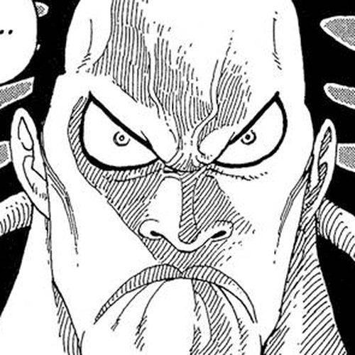 One Piece Manga Chapter 254 (Aubade) cover