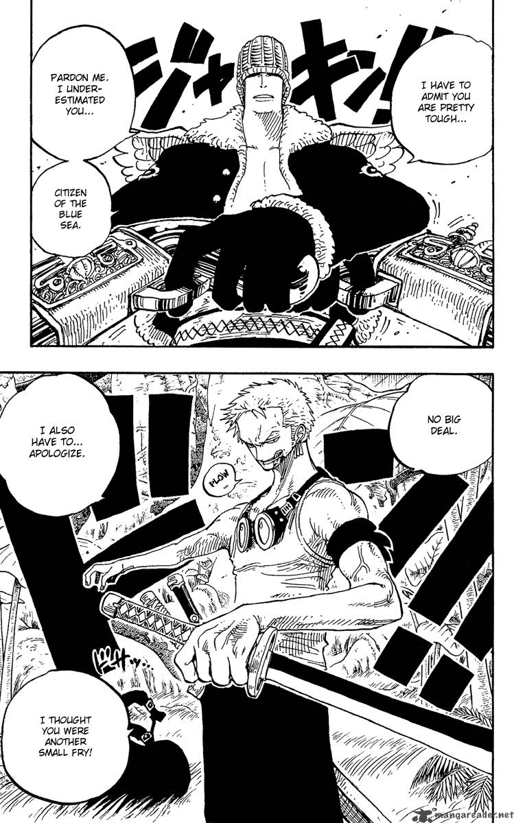 One Piece Manga Chapter 258 page 19 - The Many Souths