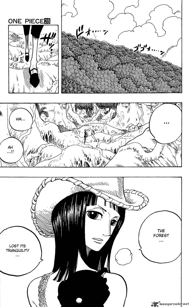 One Piece Manga Chapter 258 page 7 - The Many Souths