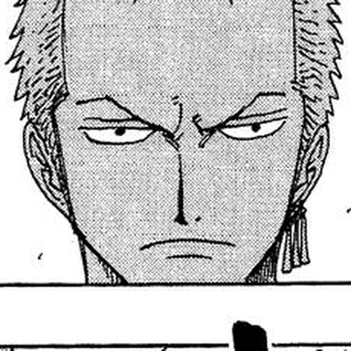 One Piece Manga Chapter 259 (Pirate Zoro vs. Warrior Braham) cover