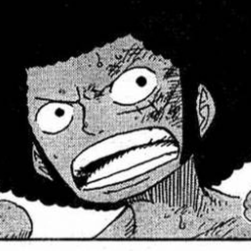 One Piece Manga Chapter 315 (Secret Room) cover