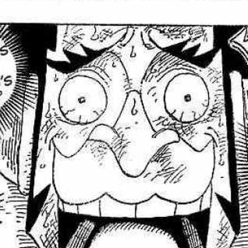 One Piece Manga Chapter 316 (Brother Soul) cover