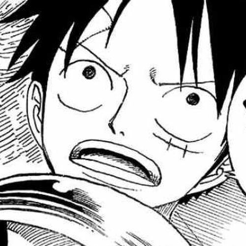 One Piece Manga Chapter 345 (The Concealed) cover