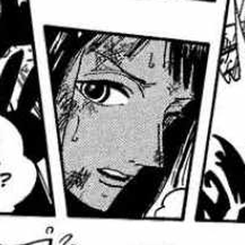 One Piece Manga Chapter 428 (Let's Go Back) cover