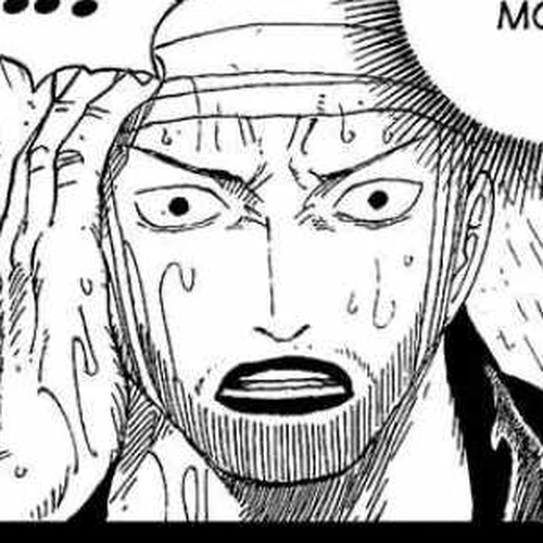 One Piece Manga Chapter 430 (A Light Snow of Reminiscence Falls) cover