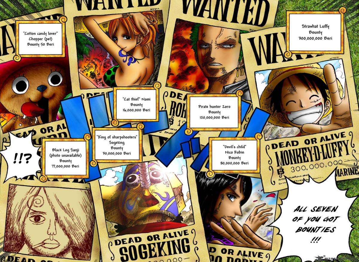 One Piece Manga Chapter 435 page 17 - You Have My Sympathies