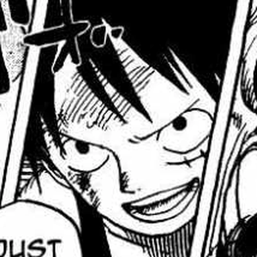 One Piece Manga Chapter 480 (Interception) cover