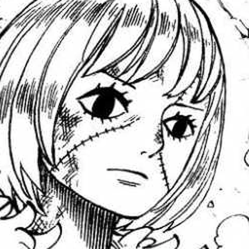 One Piece Manga Chapter 481 (Shadow's Asgard) cover