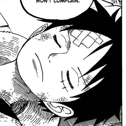 One Piece Manga Chapter 484 (Squish) cover