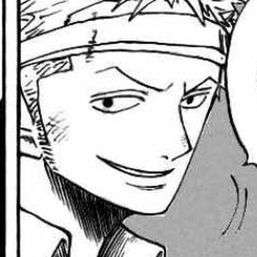 One Piece Manga Chapter 489 (The Eighth) cover