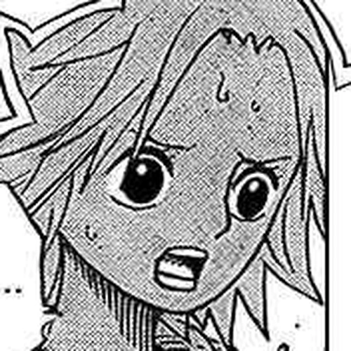 One Piece Manga Chapter 491 (Flying Fish Riders) cover