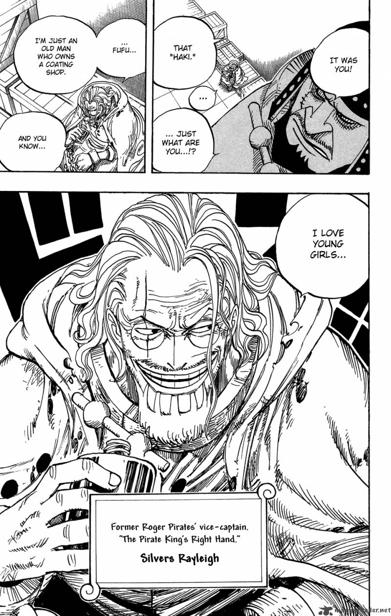 One Piece Manga Chapter 500 page 19 - The Embers of History