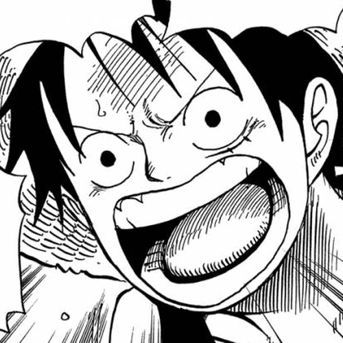 One Piece Manga Chapter 500 (The Embers of History) cover