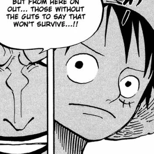 One Piece Manga Chapter 505 (Kuma) cover