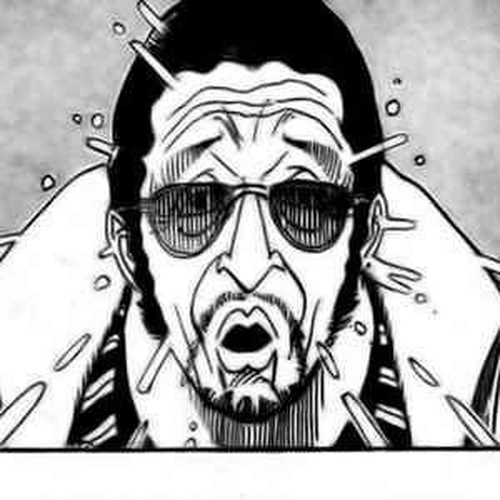 One Piece Manga Chapter 510 (Straw Hat Crew vs. Combat Weapon) cover