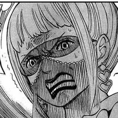 One Piece Manga Chapter 514 (Mushrooms-Grow-From-the-Body Mushroom) cover