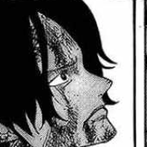 One Piece Manga Chapter 542 (Another Incident to Be Told) cover