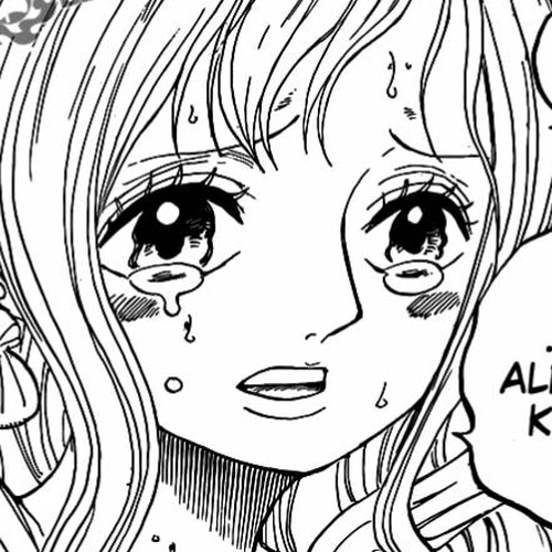 One Piece Manga Chapter 632 (I Knew) cover