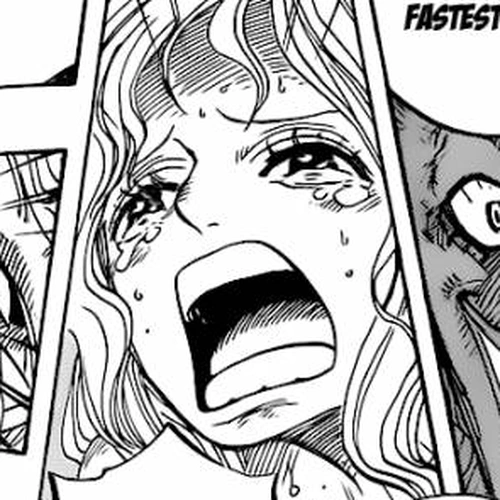 One Piece Manga Chapter 639 (Protect Everything) cover