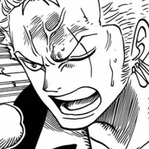 One Piece Manga Chapter 740 (It's in Your Hands!!!) cover