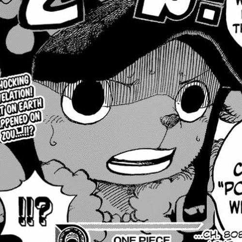 One Piece Manga Chapter 808 (Duke Inuarashi) cover