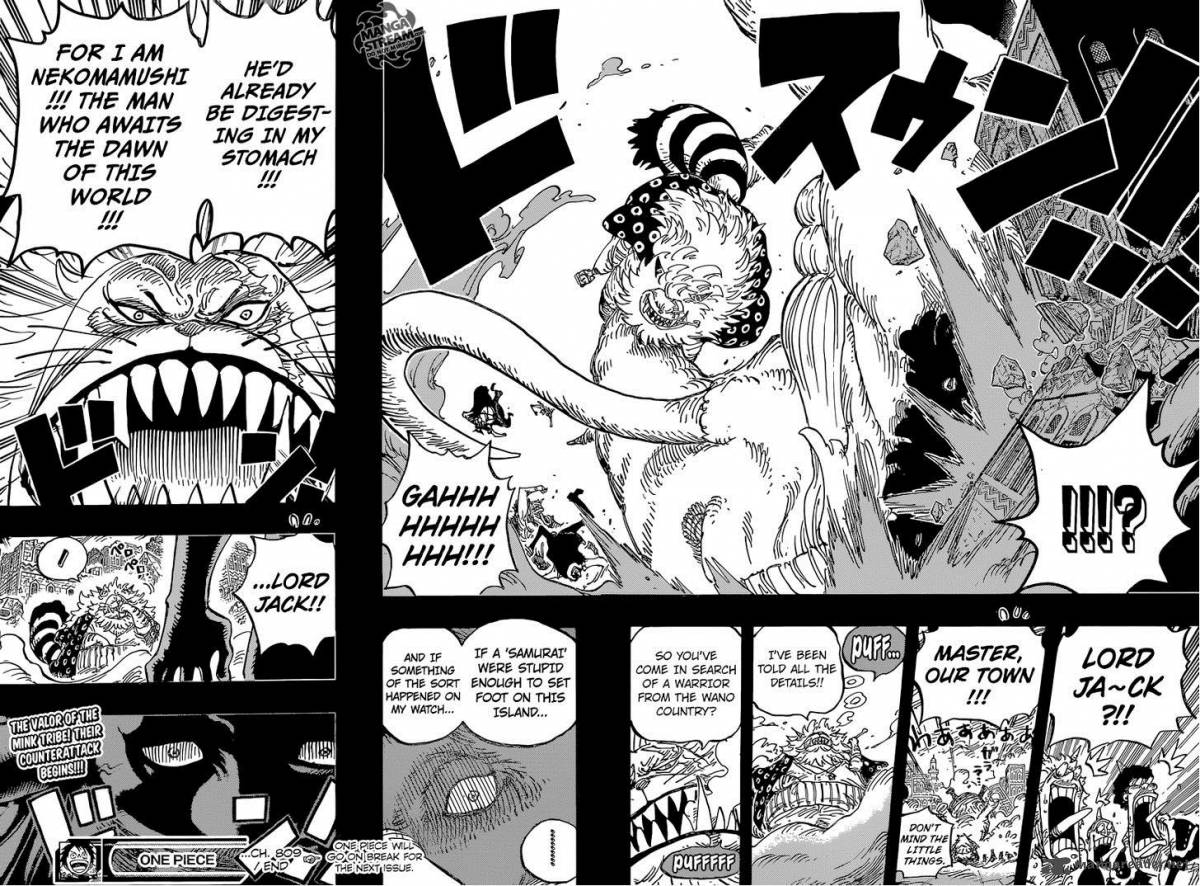 One Piece Manga Chapter 809 page 18 - Master Nekomamushi