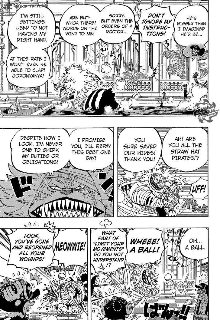 One Piece Manga Chapter 814 page 14 - Let's Go See Master Nekomamushi